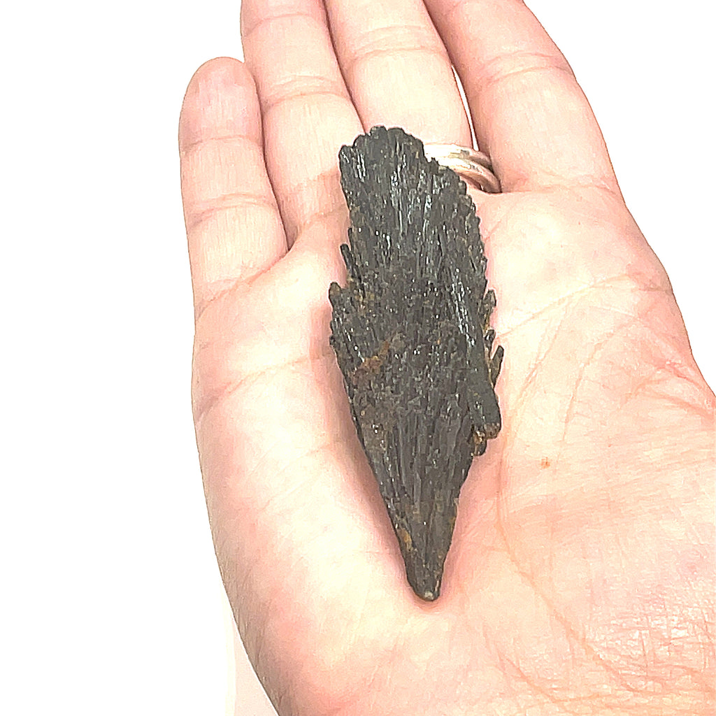 A raw Black Kyanite gemstone in a models palm a with a rough, jagged surface on a white background, front overview.