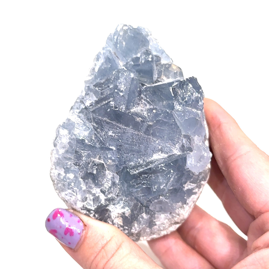 A raw Celestite gemstone cluster held in a model's hand, displaying translucent blue crystals on a white background, front view.