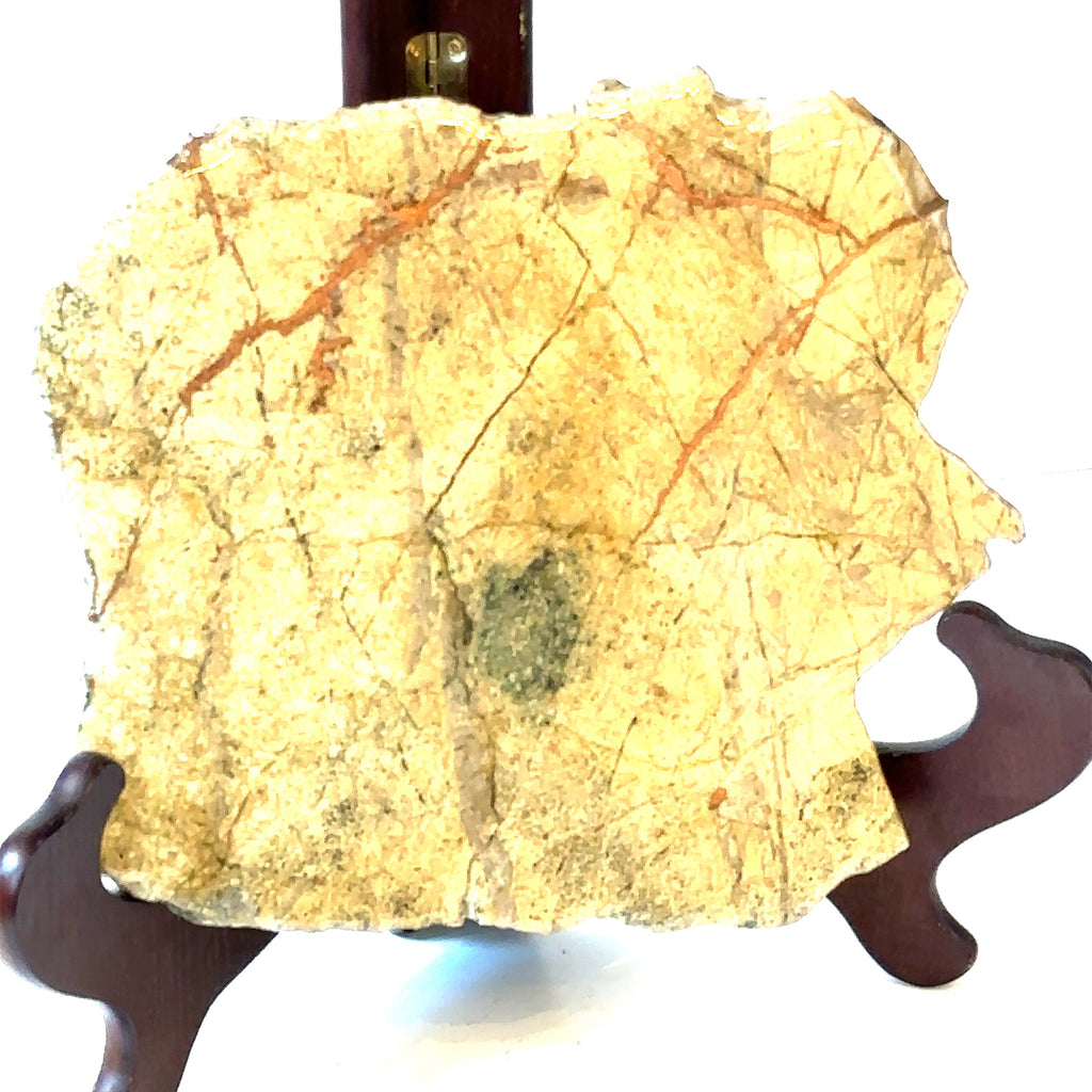 A raw slab gemstone of Copper in Matrix displayed on a wooden stand, with a polyurethane coating on one side, on a white background, and in a front close up view.