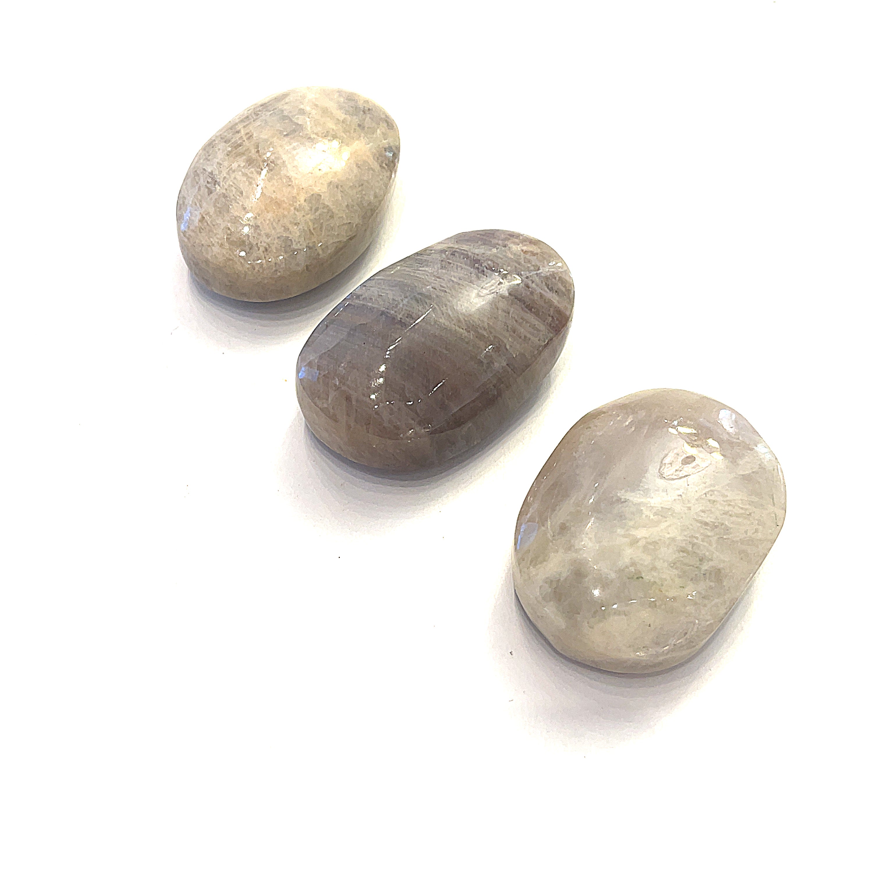 A row  grey moonstone palm stones displayed in a row on a white background front overview.