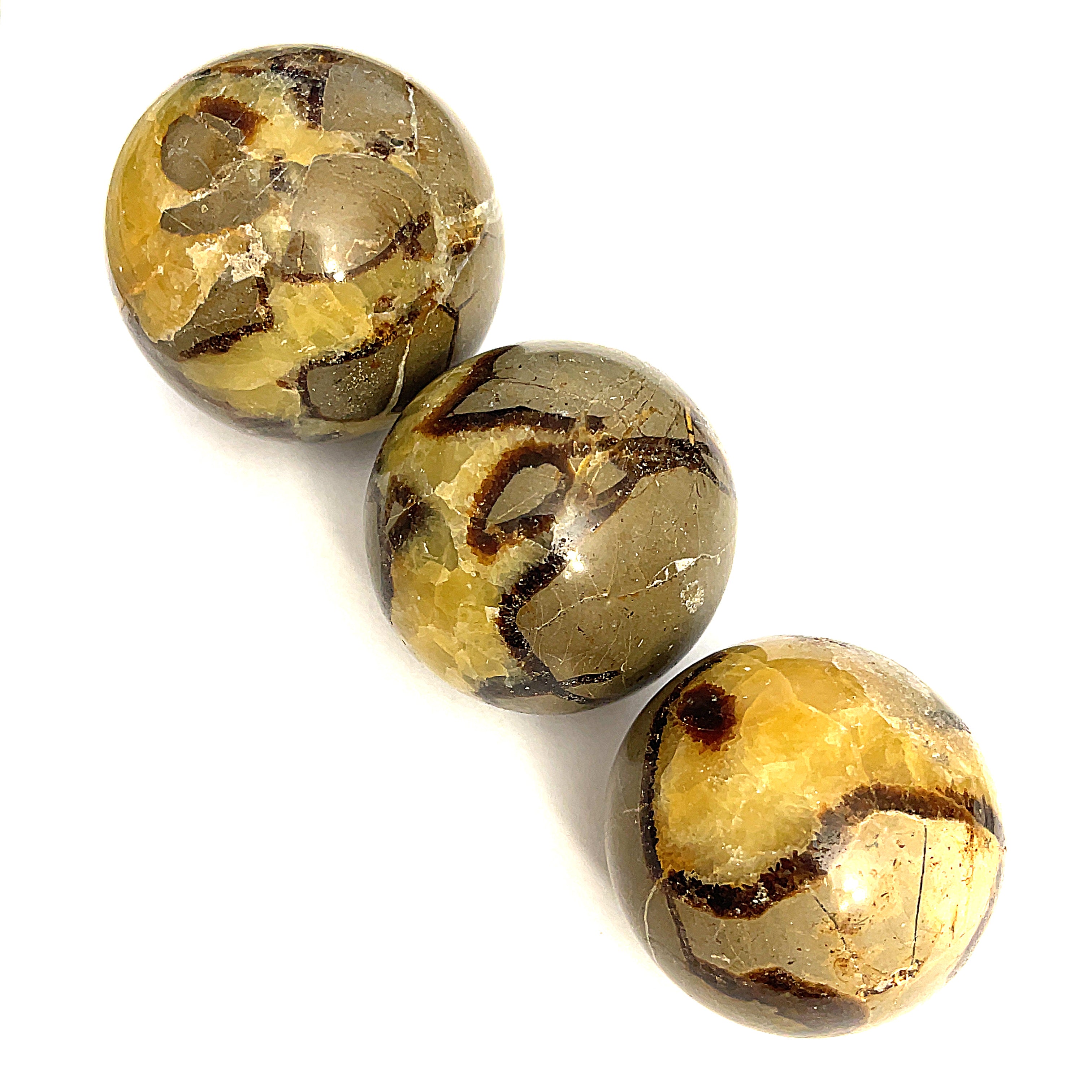 A set of three Septarian Nodule gemstone spheres displayed on a white background in a diagonal line front view.