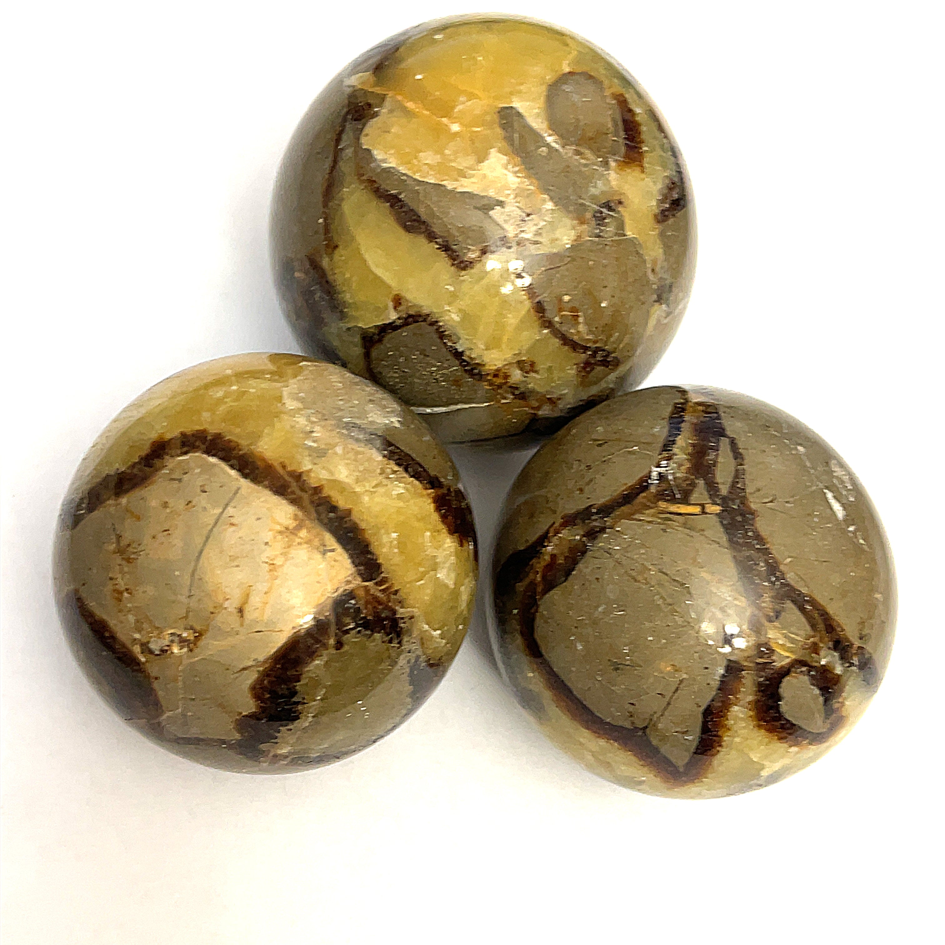 A set of three Septarian Nodule gemstone spheres displayed on a white background in a triangular front view.