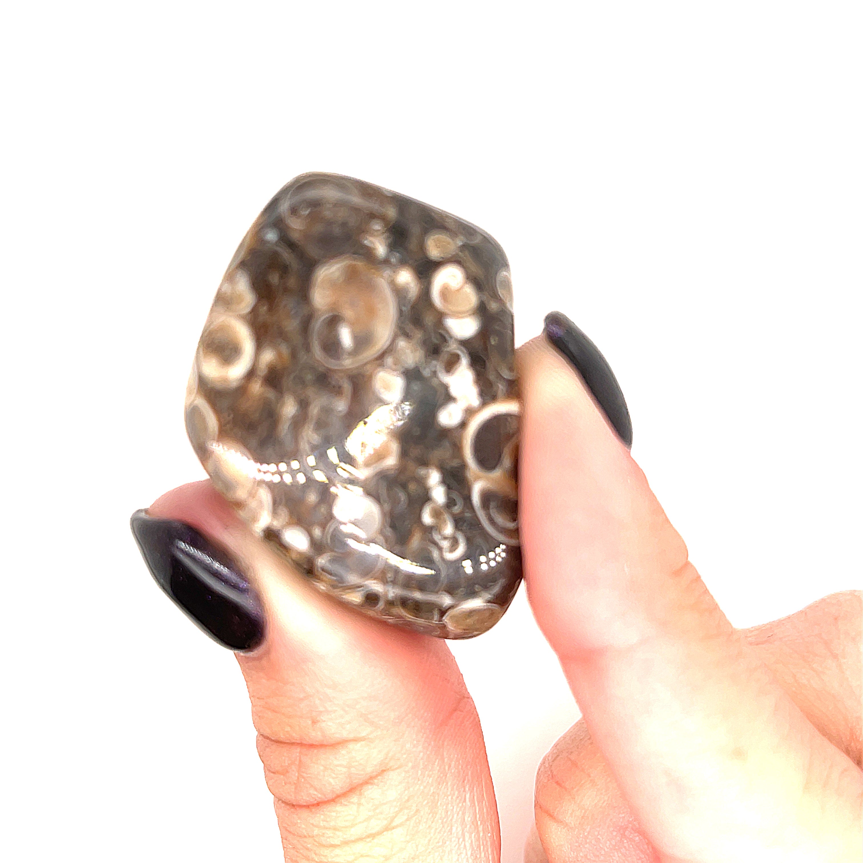A  tumbled Turritella Agate gemstones with a distinctive bubble-like pattern, displayed in a models finger tips on a white background, overview. 