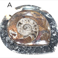 Ammonite fossil plate displayed on a tabletop – natural décor for collectors and crystal lovers, plate #A on a white background, front overview.