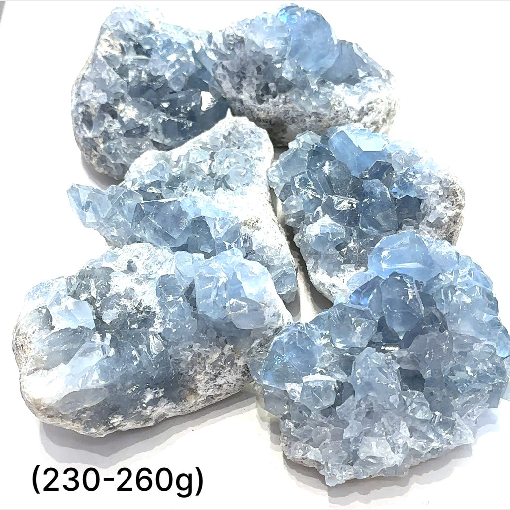 Close-up of Celestite crystal structure showing natural translucence on a white background group sizing (230-260)