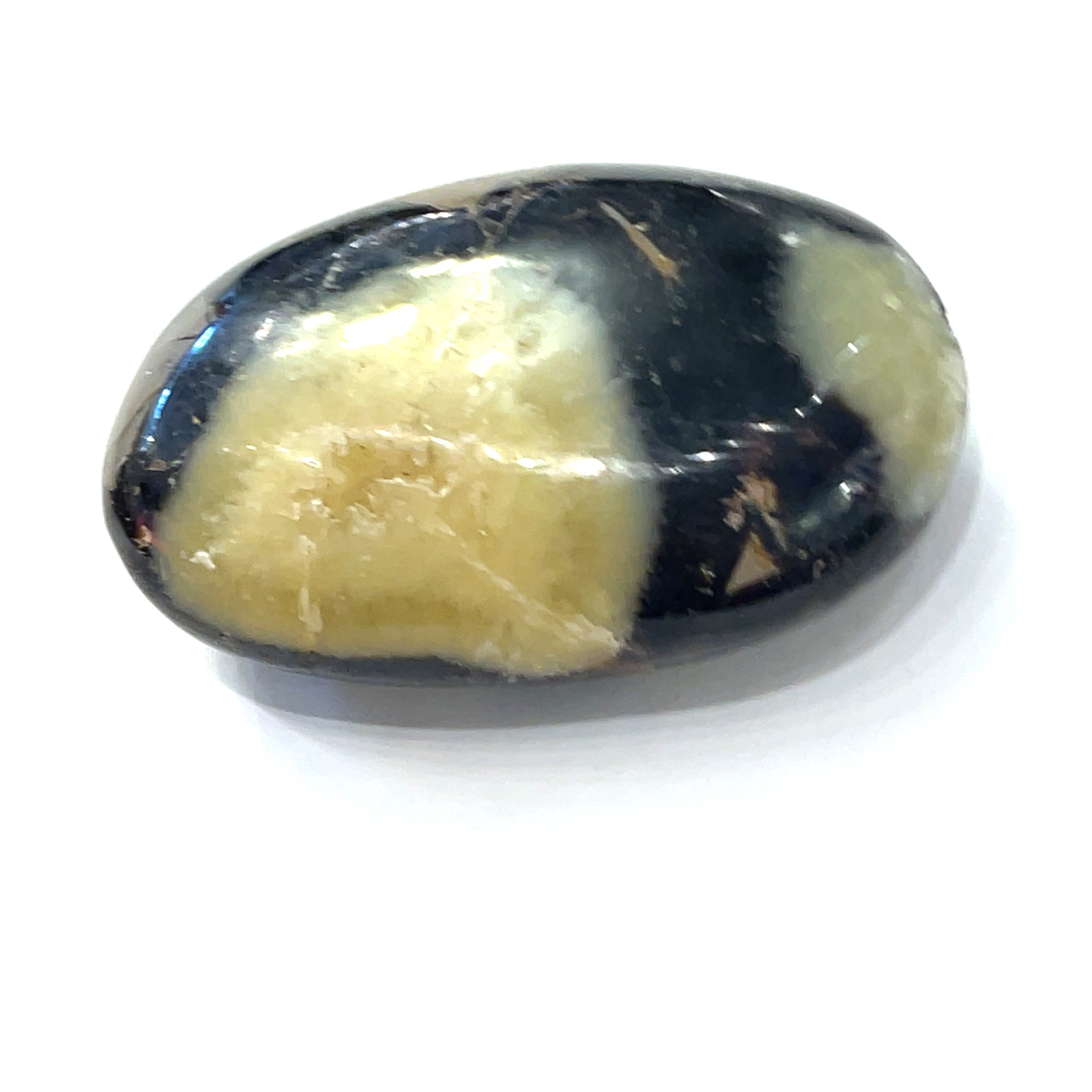 Close-up of Septarian stone texture and color detail on a white background front, close up view. 