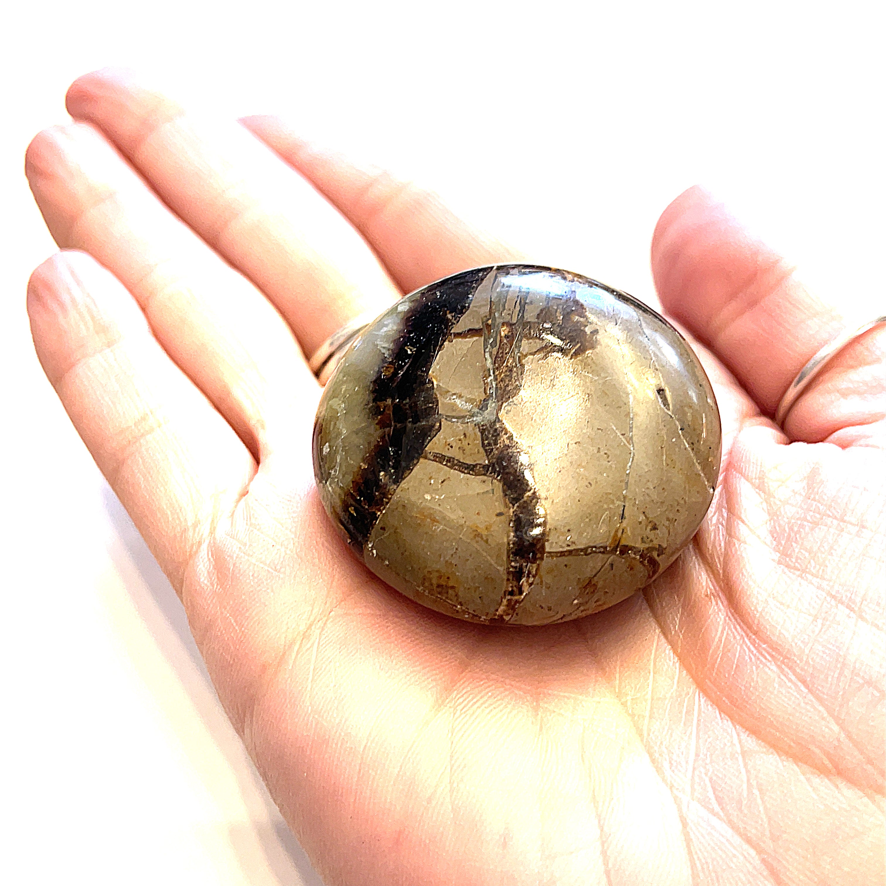 Close-up of Septarian stone texture and color detail on a white background in a models palm for a close up view. 