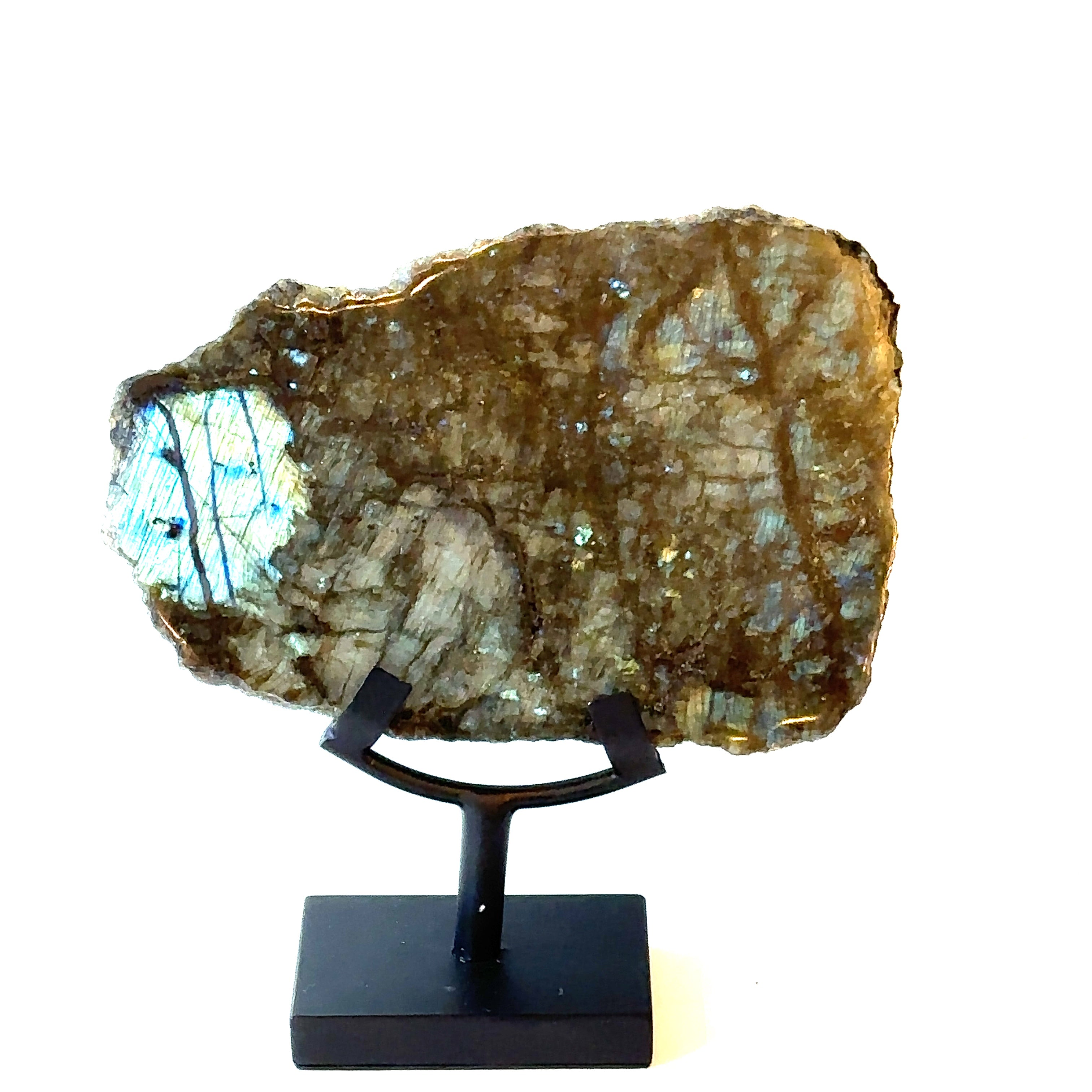 Close-up of polished Labradorite surface with iridescent blue and gold flash. On a white background front close up view.