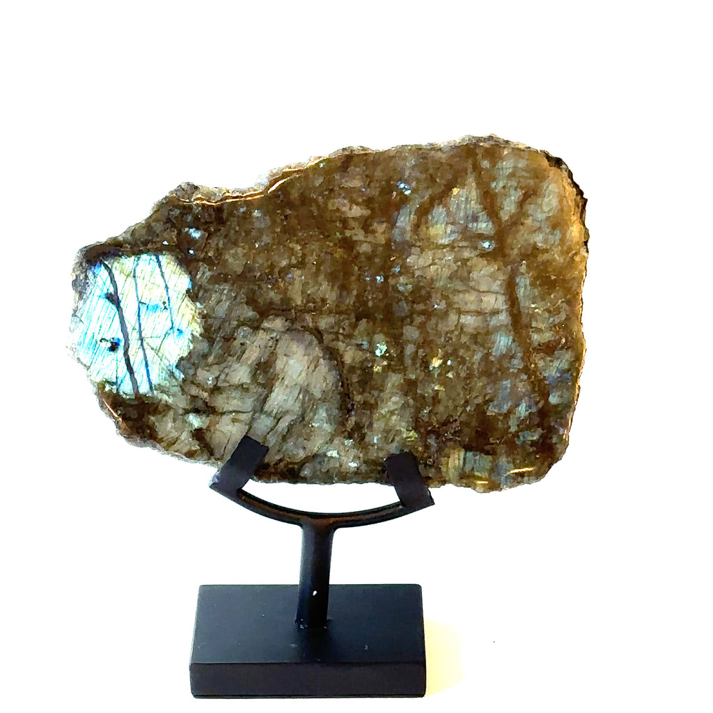 Close-up of polished Labradorite surface with iridescent blue and gold flash. On a white background front close up view.