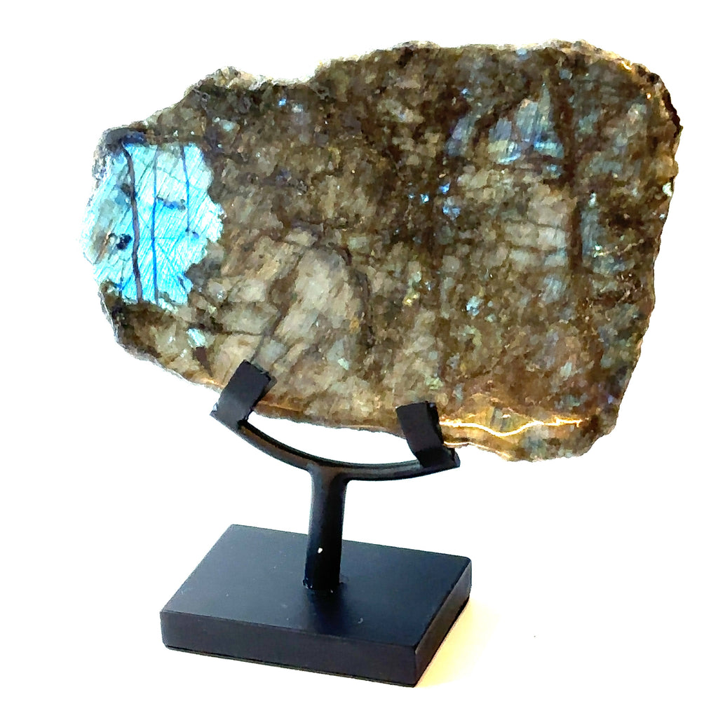 Close-up of polished Labradorite surface with iridescent blue and gold flash. On a white background front view.