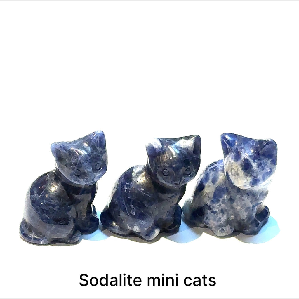 Close-up of polished gemstone cat grouping of Sodalite showing crystal texture and color variation. On white background front overview.