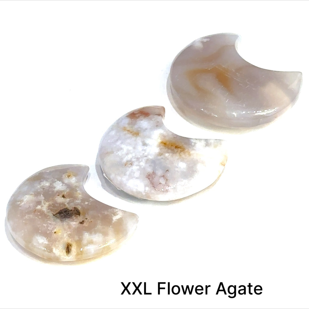 Close-up of polished moon-shaped XXL Flower Agate gemstones grouping on a white background front overview