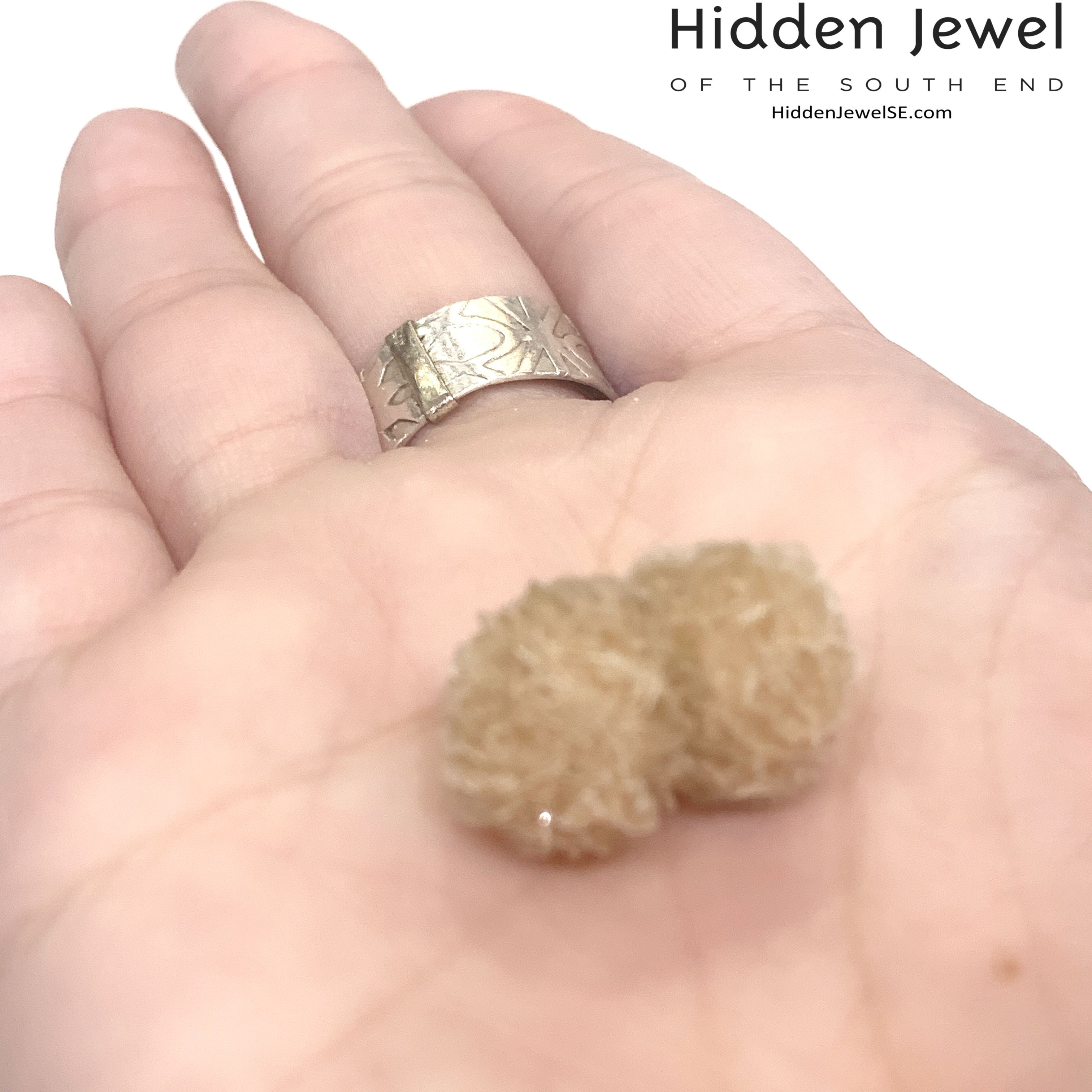 Desert Rose Selenite raw gemstones