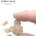 Desert Rose Selenite raw gemstones