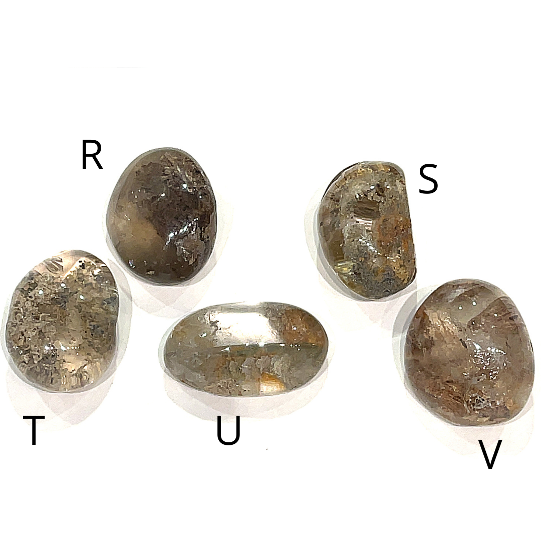 Five Brazilian Lodolite Garden Quartz palm gemstones, labeled R,S,T,U, and V are displayed on a white background in a front view. 