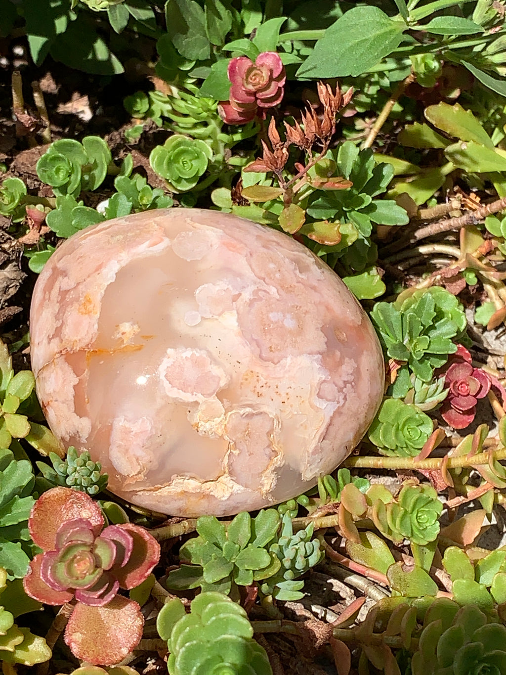 Flower Agate gemstone Palm Stone