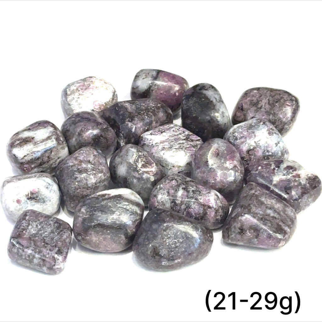 Group of Garnet with Astrophyllite tumbled gemstones on a white background sizes (21-29g) front overview