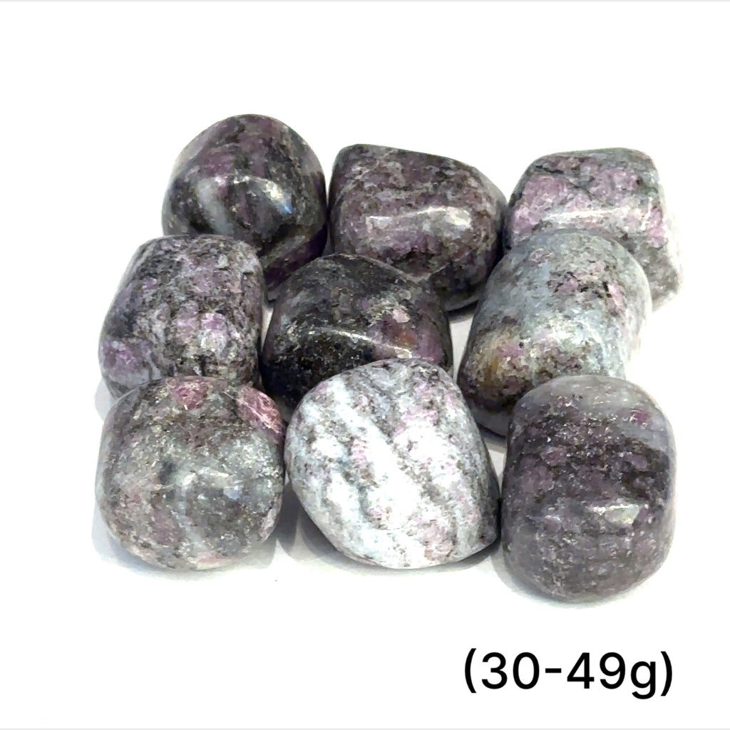 Group of Garnet with Astrophyllite tumbled gemstones on a white background sizes (30-49g) front overview