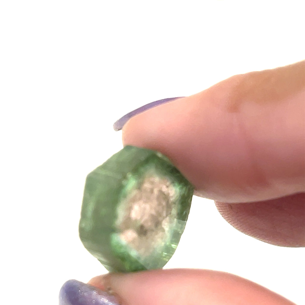 Hand holding raw Watermelon Tourmaline crystal with gentle lighting on white background angled overview