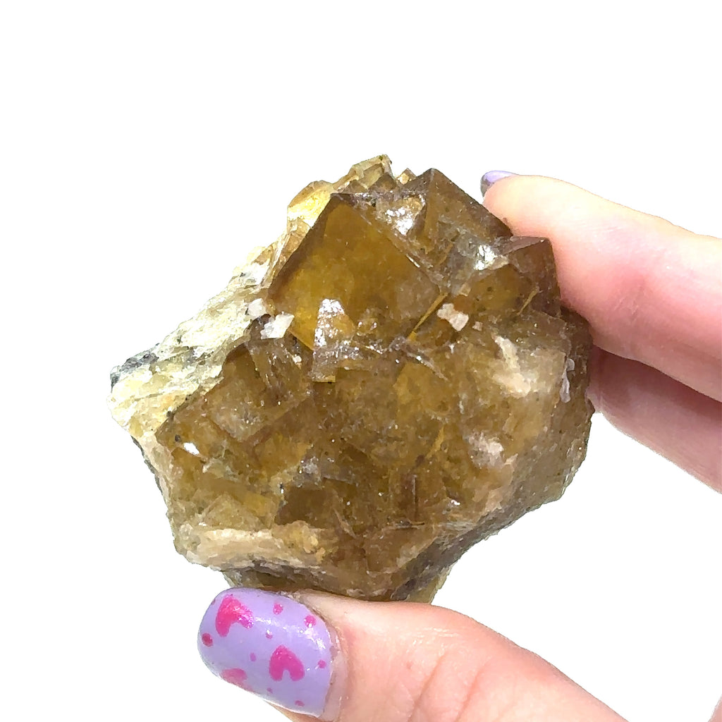 Hand holding raw Yellow Fluorite cluster with natural sparkle and depth on white background front view