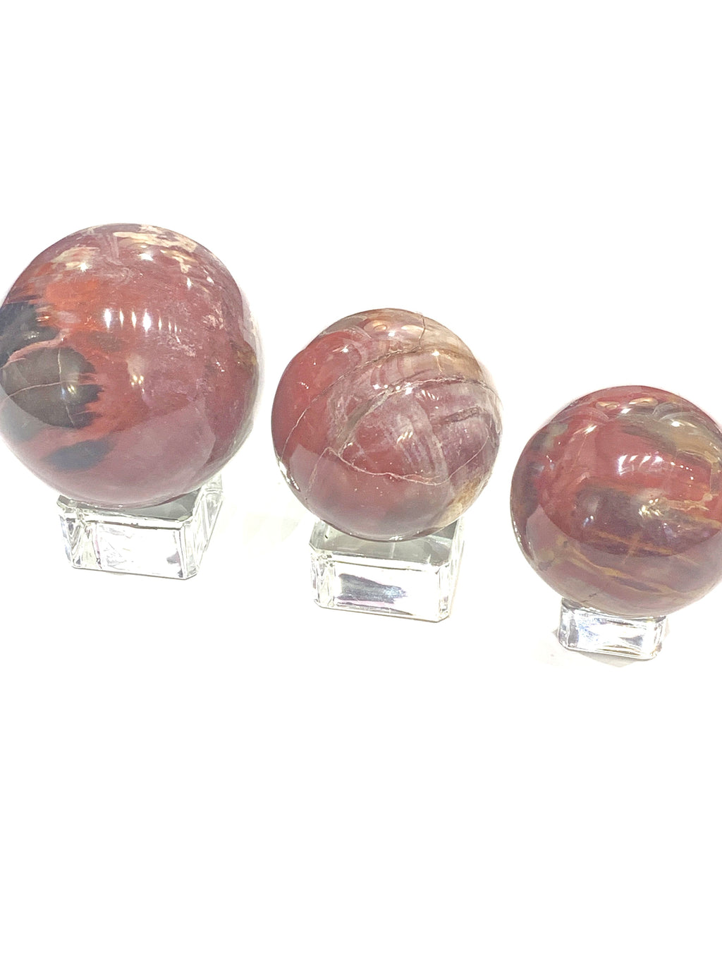 Petrified Wood Gemstone Sphere