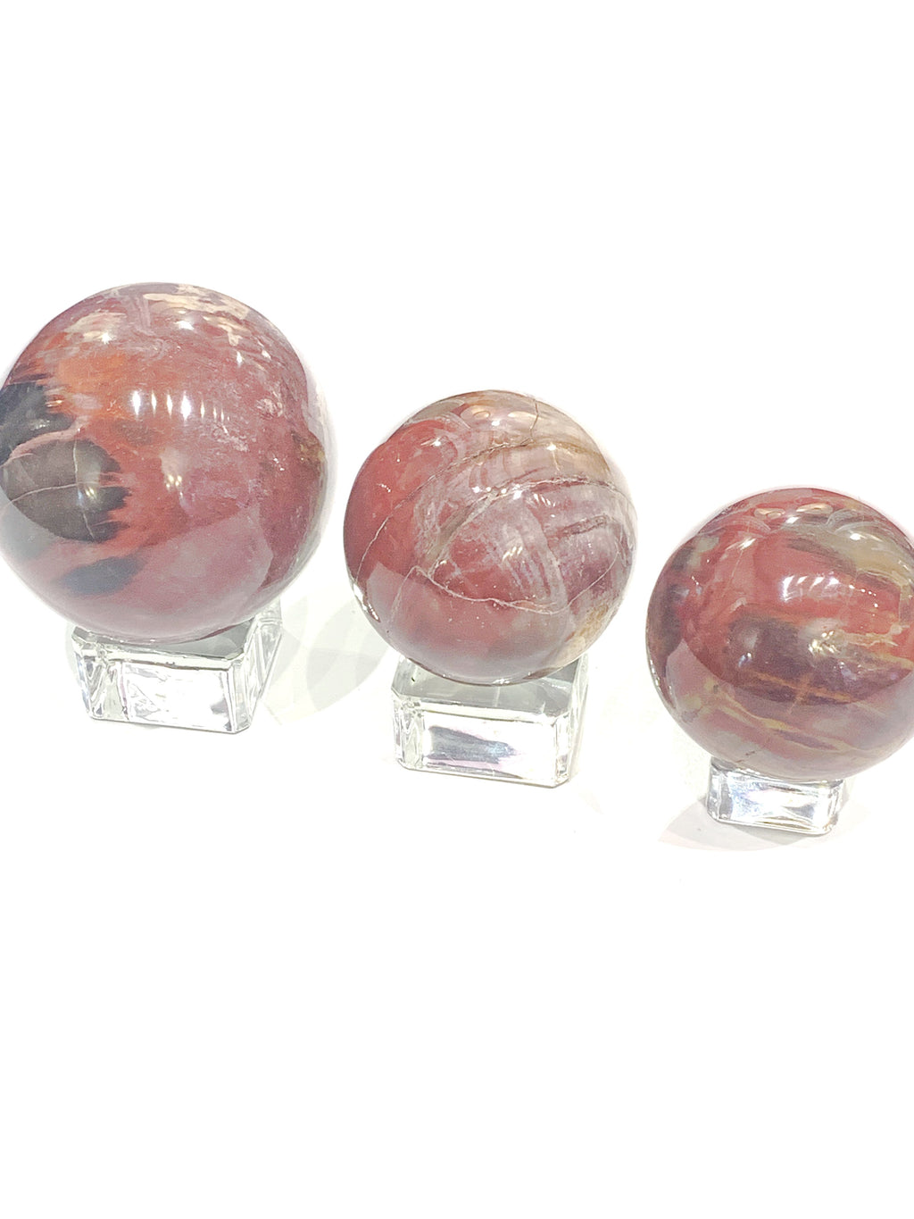Petrified Wood Gemstone Sphere