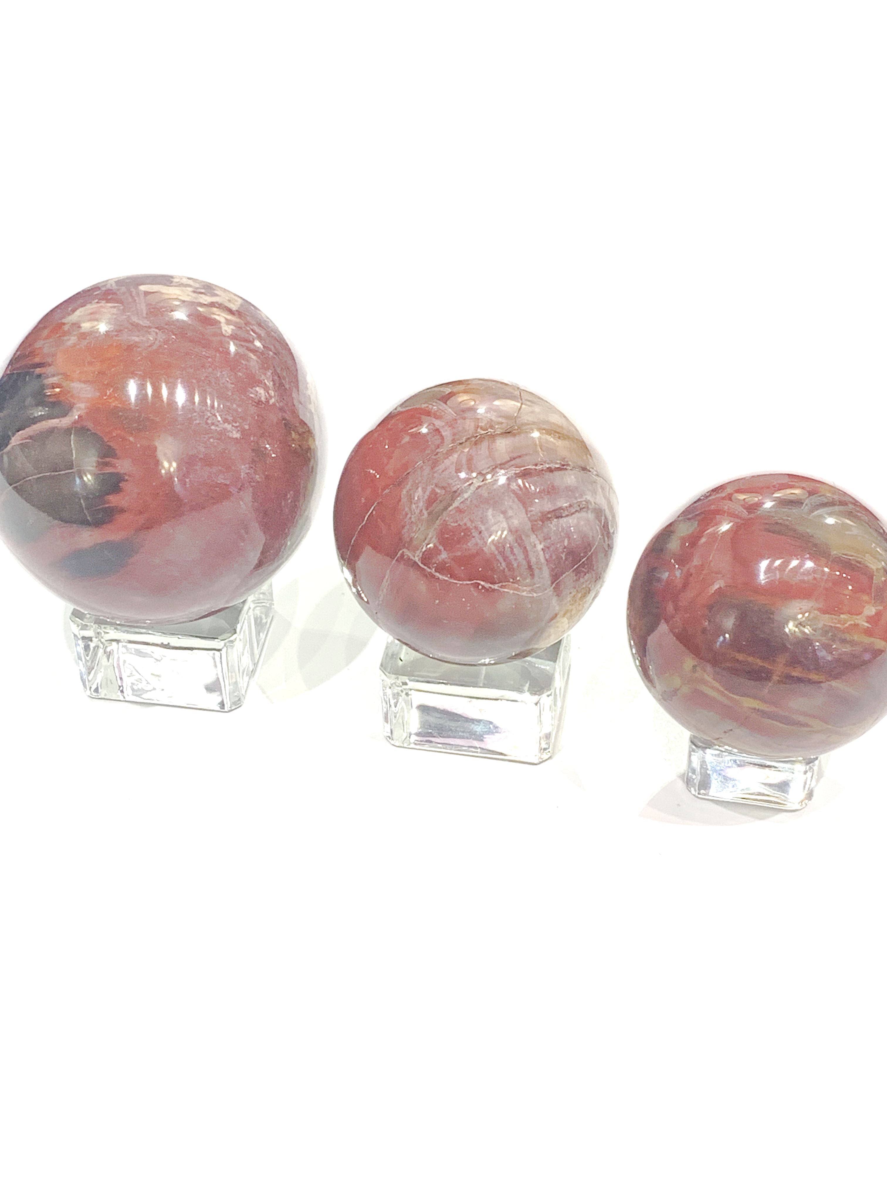 Petrified Wood Gemstone Sphere