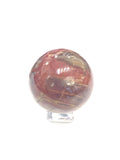 Petrified Wood Gemstone Sphere
