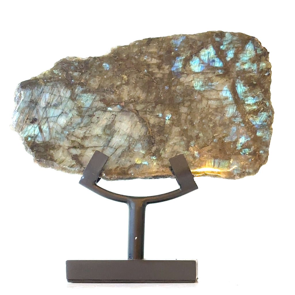 Labradorite slab gemstone on display stand showing vivid labradorescence. On a white background front close up view.