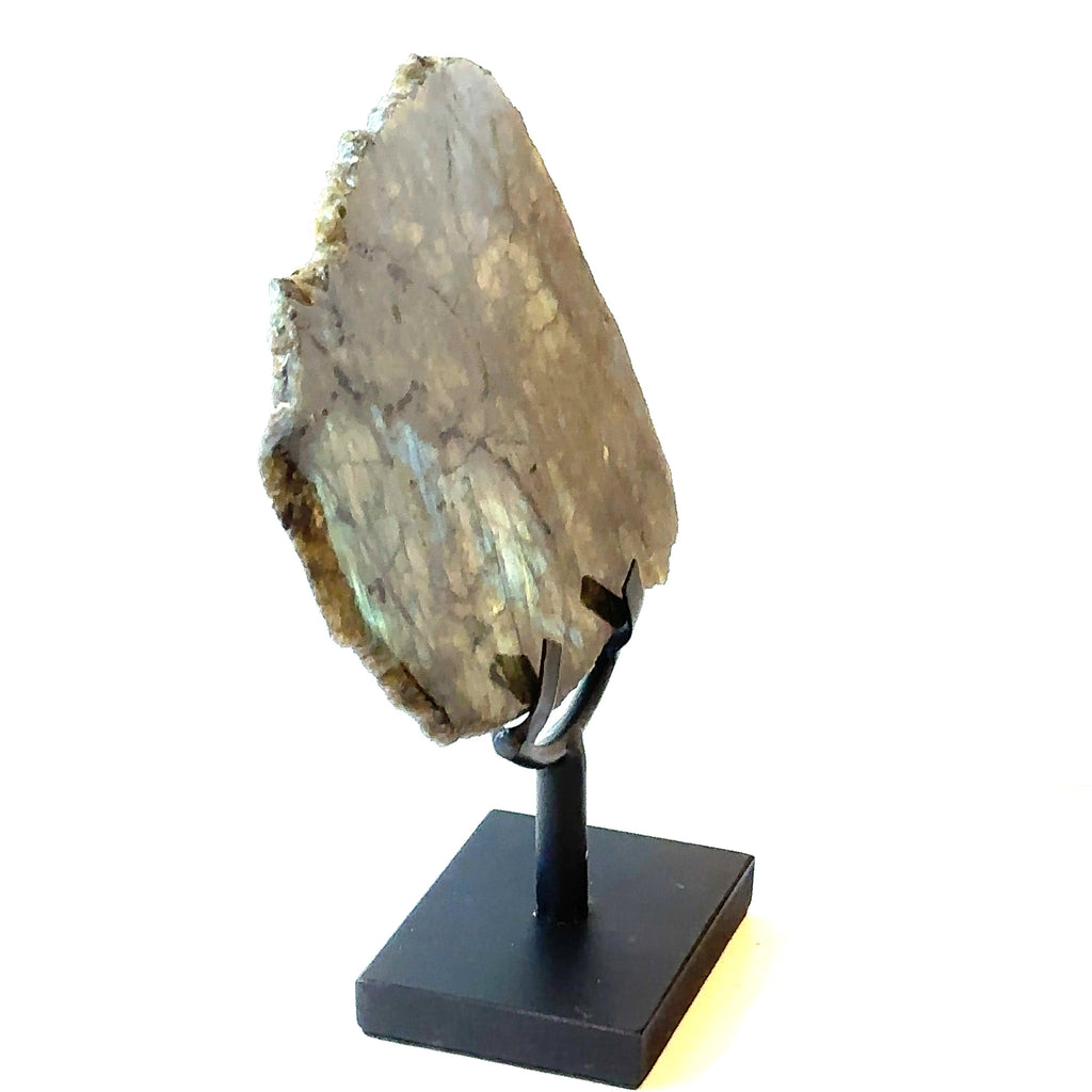 Labradorite slab gemstone on display stand showing vivid labradorescence. On a white background right side close up view.