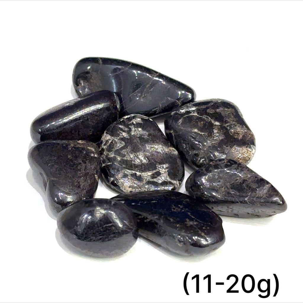 Multiple Purpurite tumbled stones arranged on white background showing variations sizes (11-20g) on white background overview