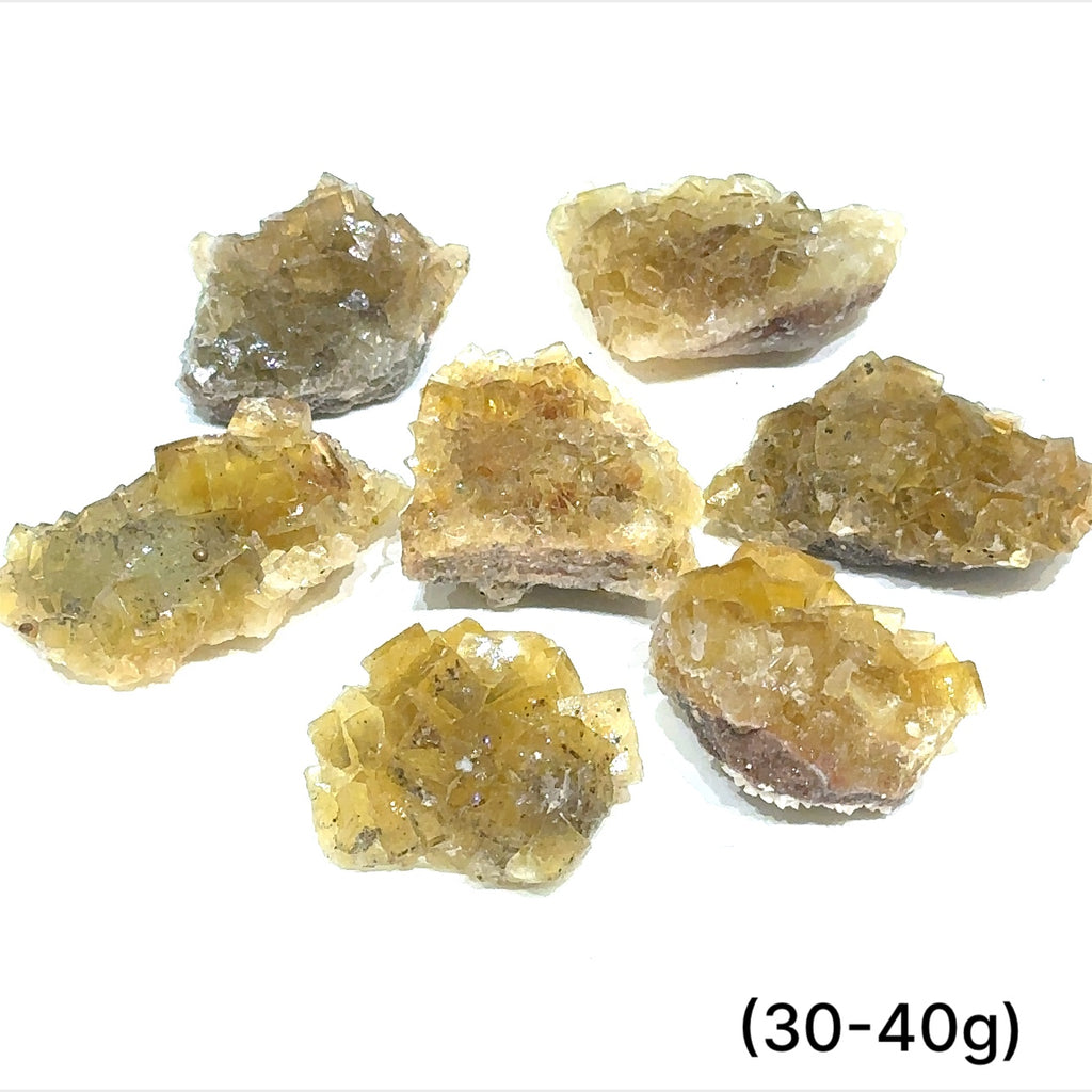 Multiple Yellow Fluorite raw clusters displayed on white background front overview sizes (30-40g)