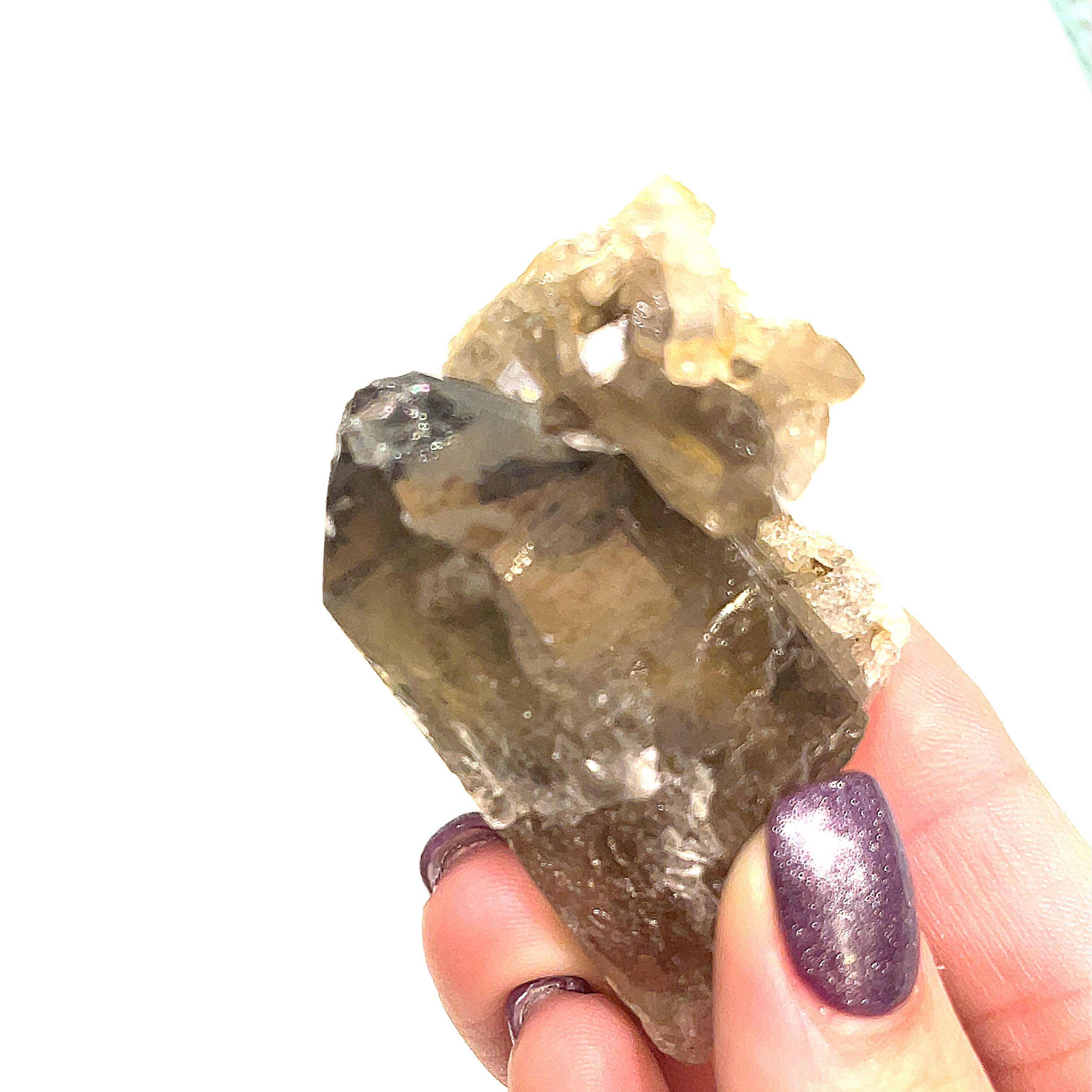 One Smokey Quartz cluster gemstone point with druzy sparkle in a models hand on a white background front view. 