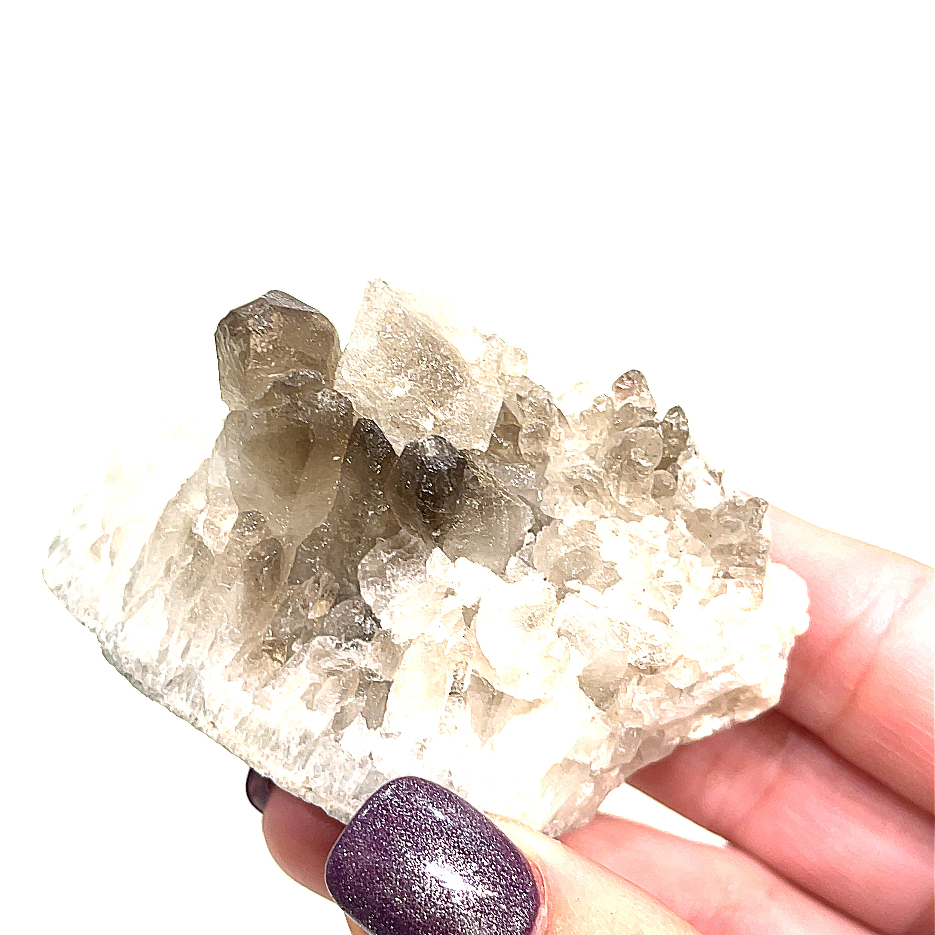 One large Smokey Quartz cluster gemstone point with druzy sparkle in a models hand on a white background front view. 