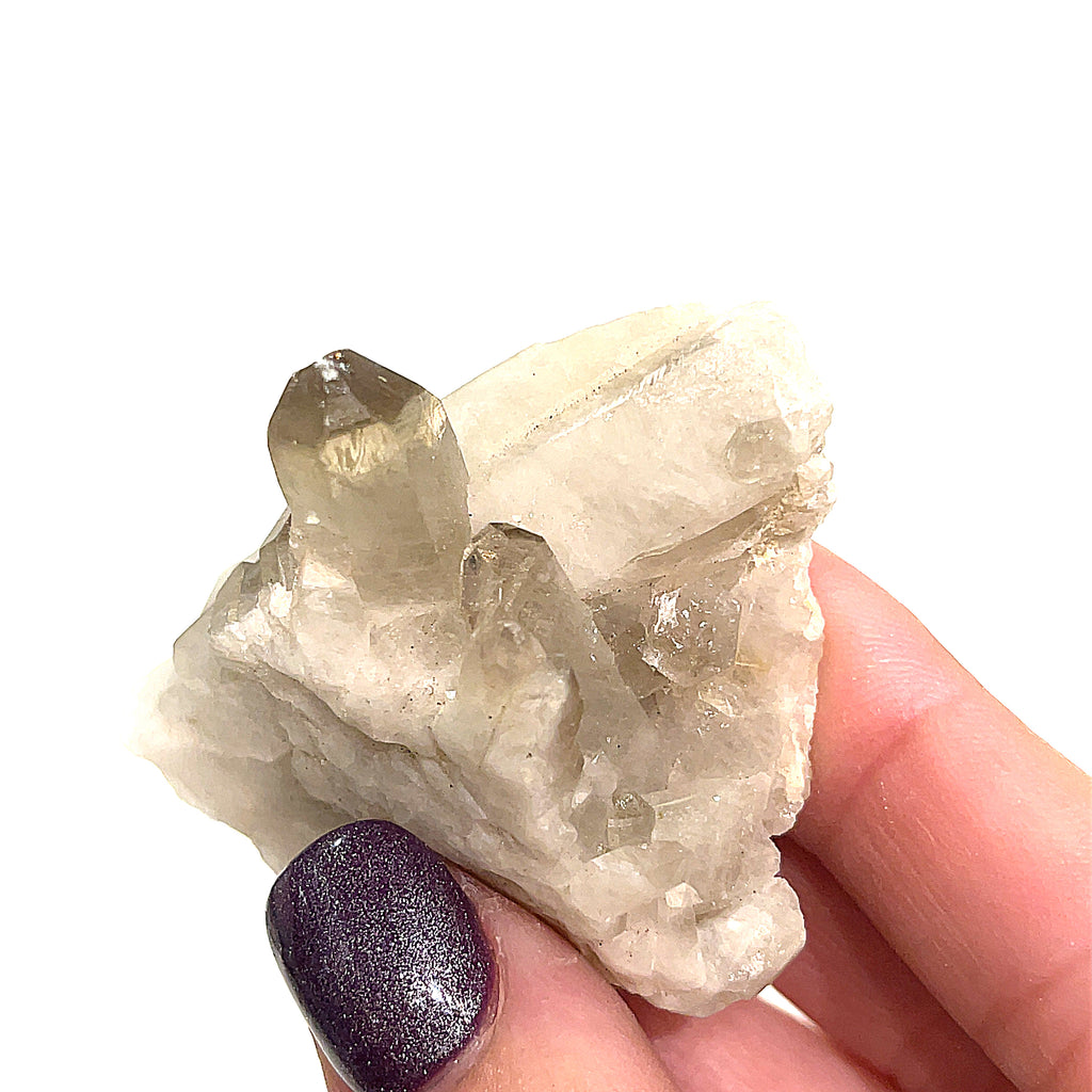 One small Smokey Quartz cluster gemstone point with druzy sparkle in a models hand on a white background front view. 