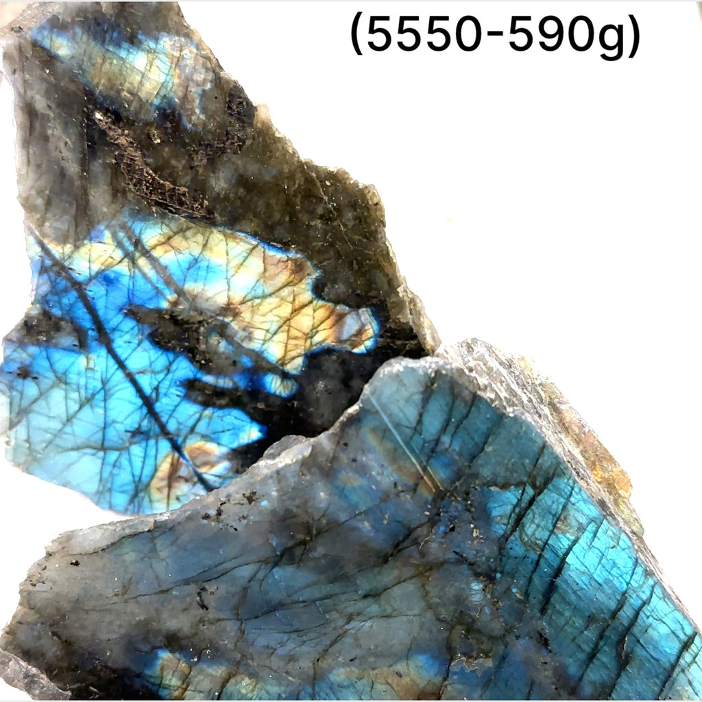 Raw labradorite slab gemstone with blue and gold flash – ethically sourced healing stone for protection and intuition on a white background, sizes (550-590g) front view