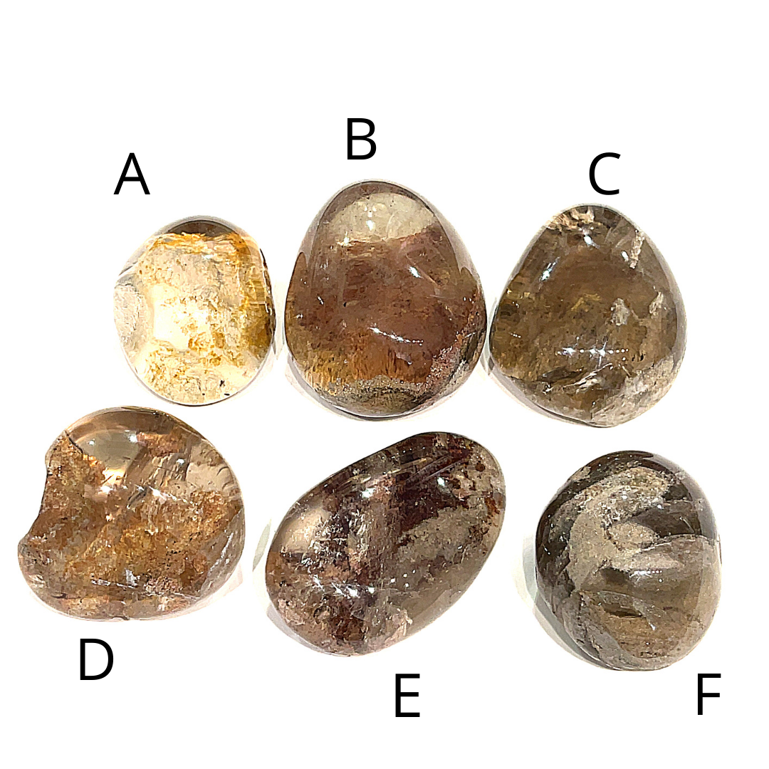 Six Brazilian Lodolite Garden Quartz palm gemstones, labeled A,B,C,D,E, and F, are displayed on a white background in a front view. 