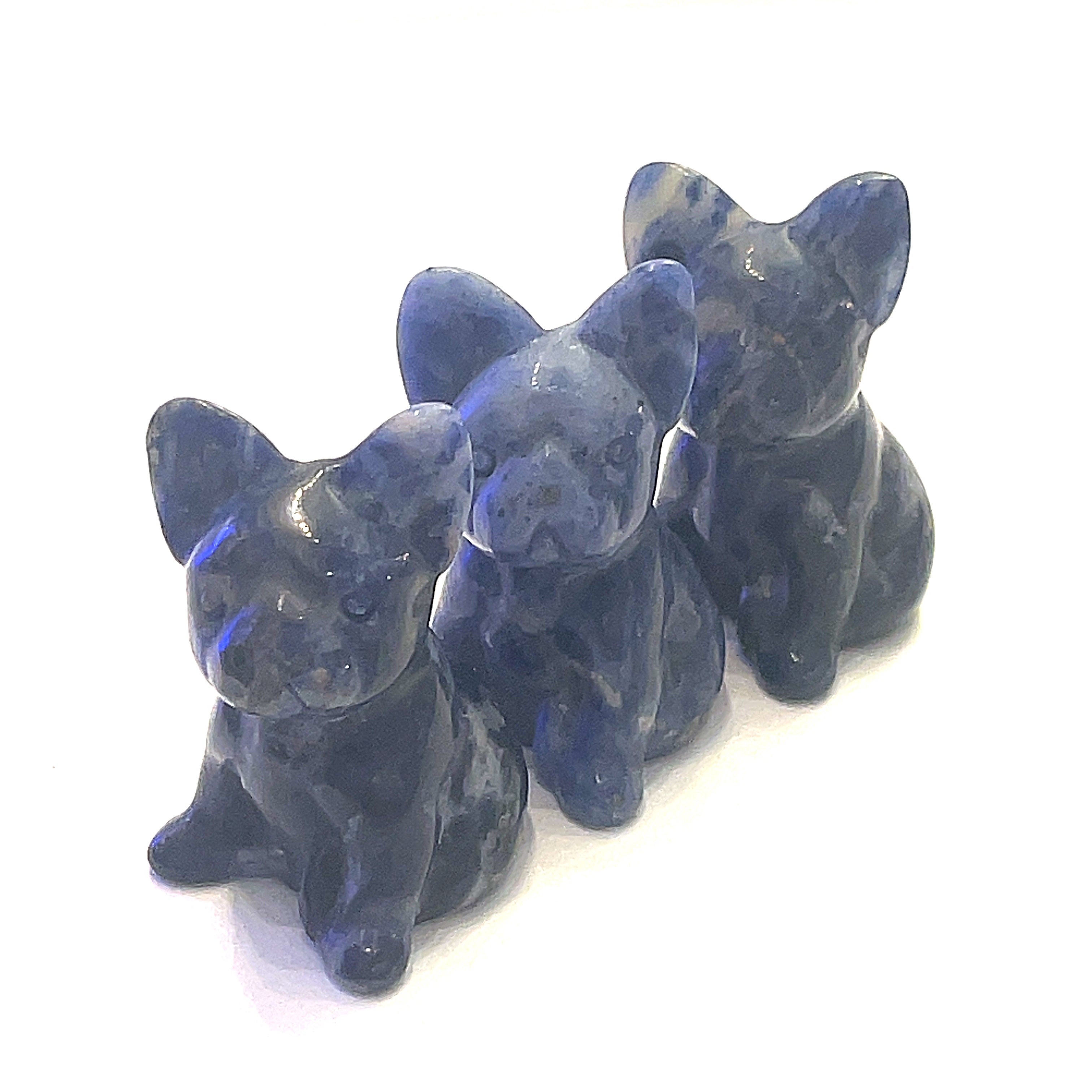 Three Sodalite Bull Dogs gemstone carving on white background, front view. 
