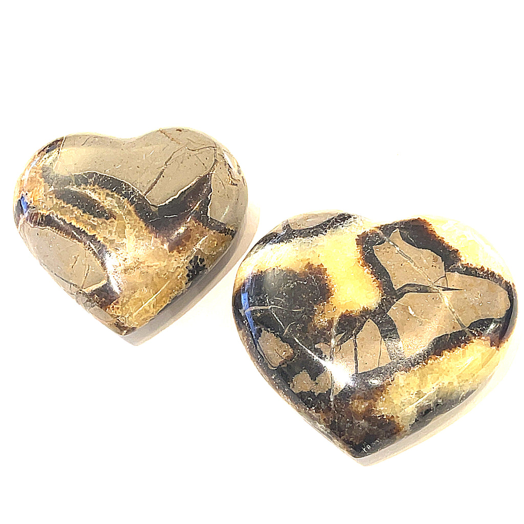 Two heart-shaped Septarian Nodule gemstones against a white background, front view.