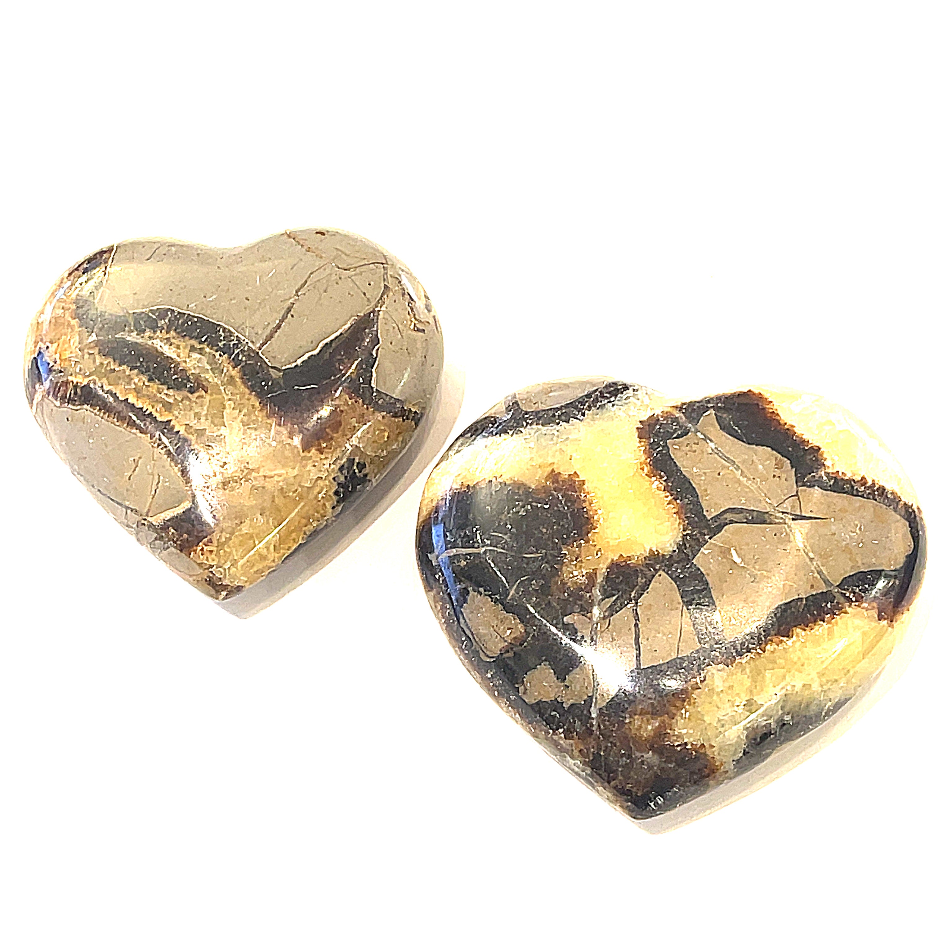 Two heart-shaped Septarian Nodule gemstones against a white background, front view.
