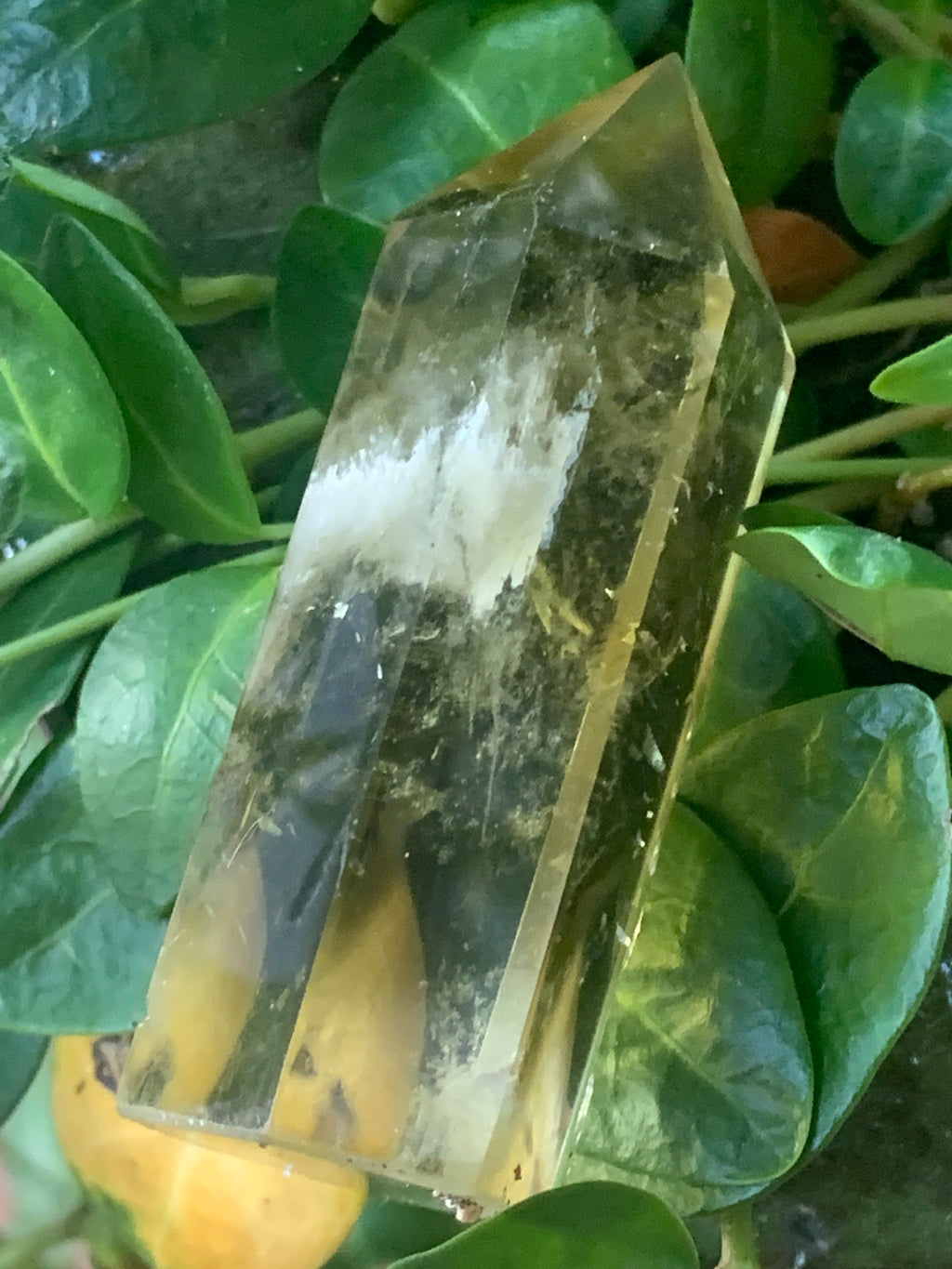 Lemon Topaz Towers, Polished 3.25" (Smaller width)