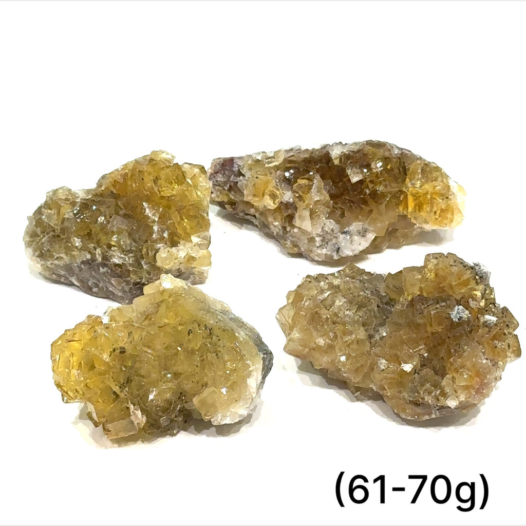 Yellow Fluorite raw clusters displayed on white background front overview sizes (61-70g)  