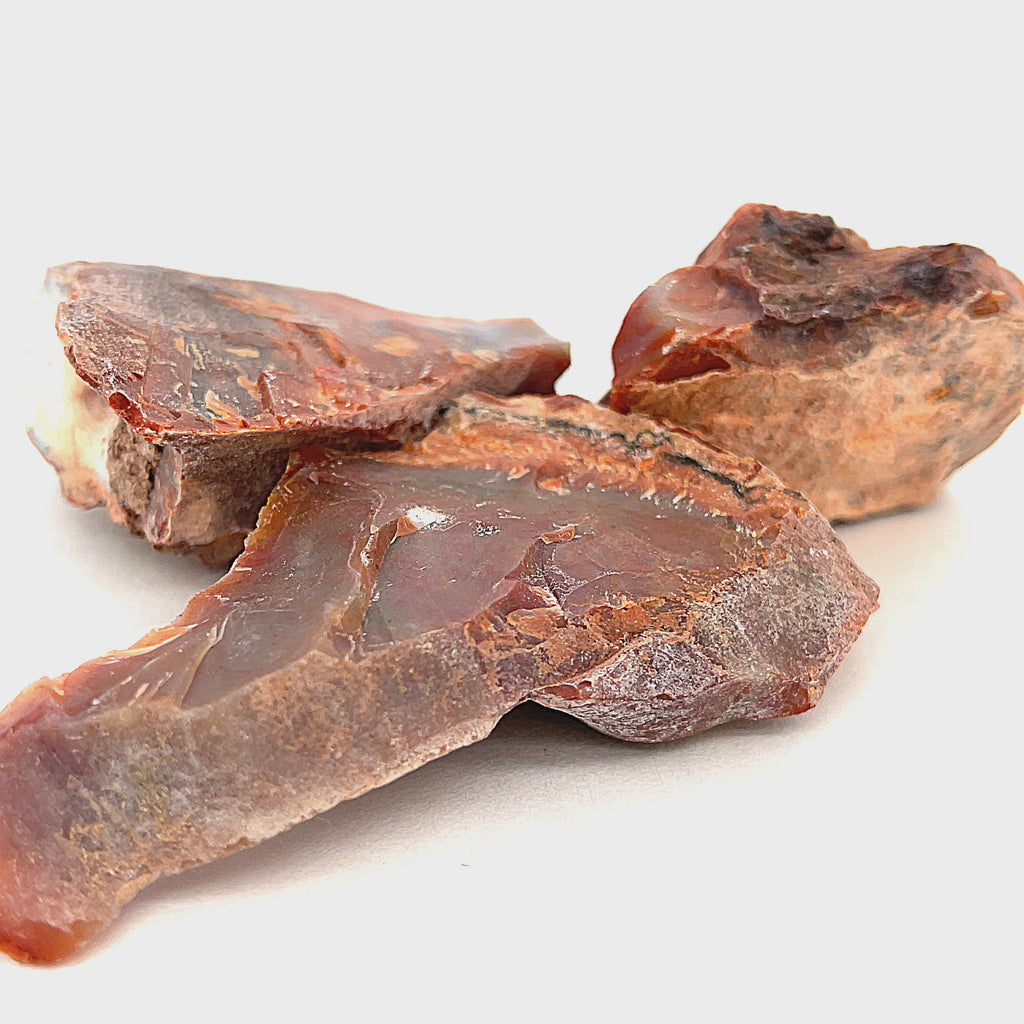 A collection of raw Petrified Wood gemstones, presented against a white background, with weight (37-53g), front, and overview. video