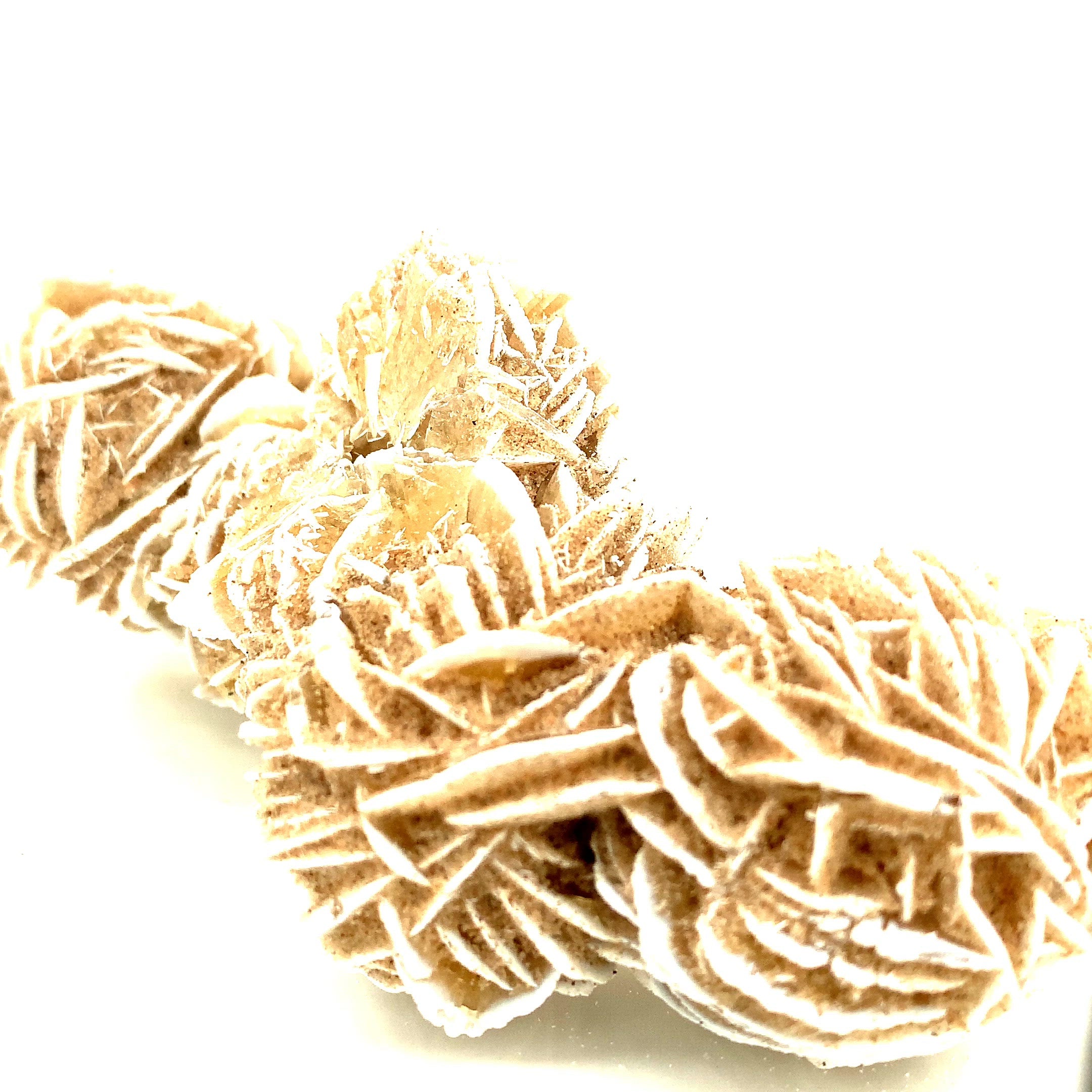 Desert Rose Selenite raw gemstones